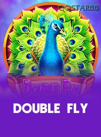Double Fly